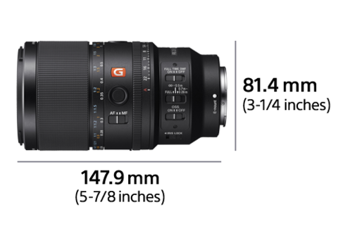 Imagen de FE 100 mm F2.8 Macro GM OSS