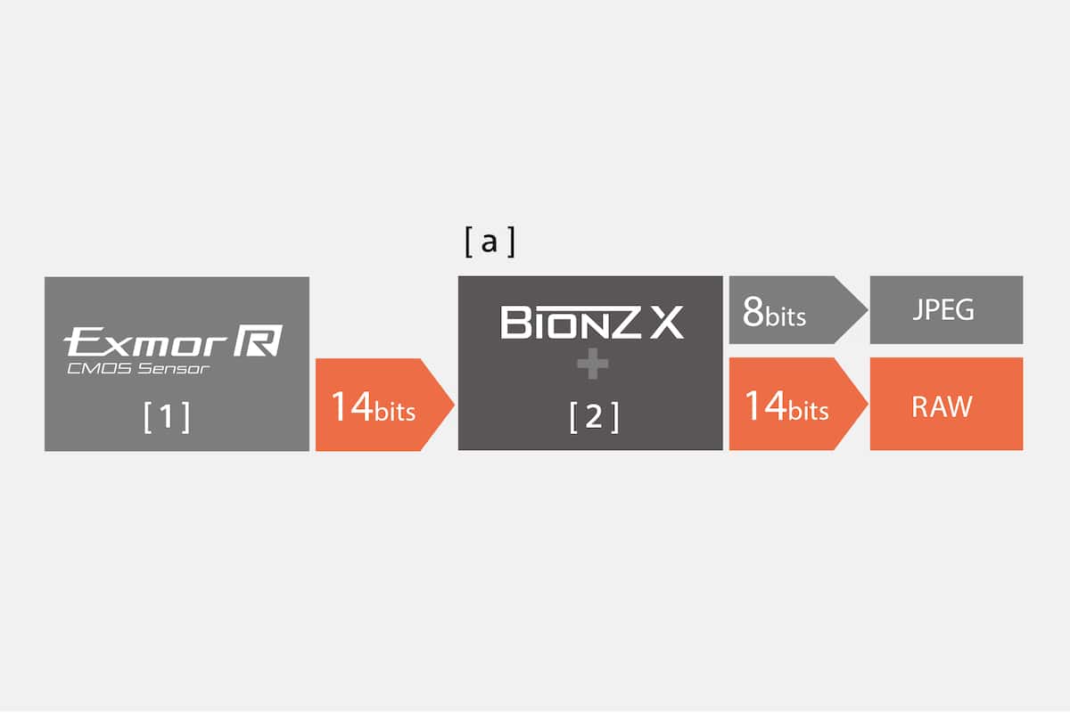 Salida RAW de 14 bits para gradaciones profundas